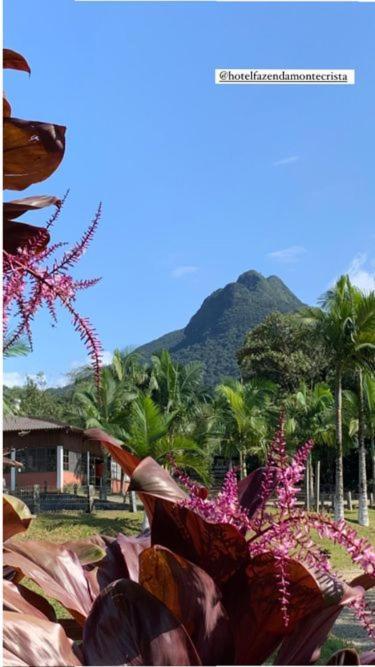 Hotel Fazenda Monte Crista Rio Bonito  Dış mekan fotoğraf